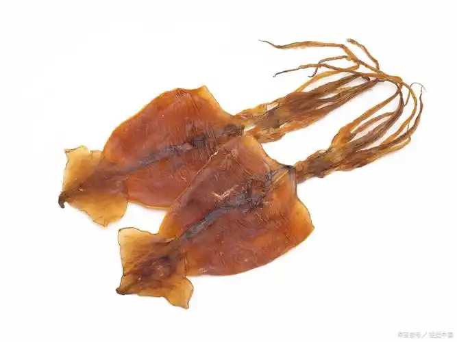 墨鱼干和鱿鱼干的区别,外表相似,在外观,口感和营养方面有不同