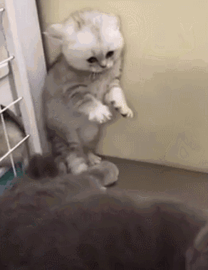 292_380竖版 竖屏gif 动态图 动图