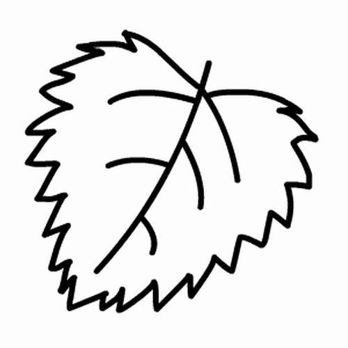 杨树的叶子画法植物简笔画简笔画大全白杨小树成长简笔画杨树树叶简笔