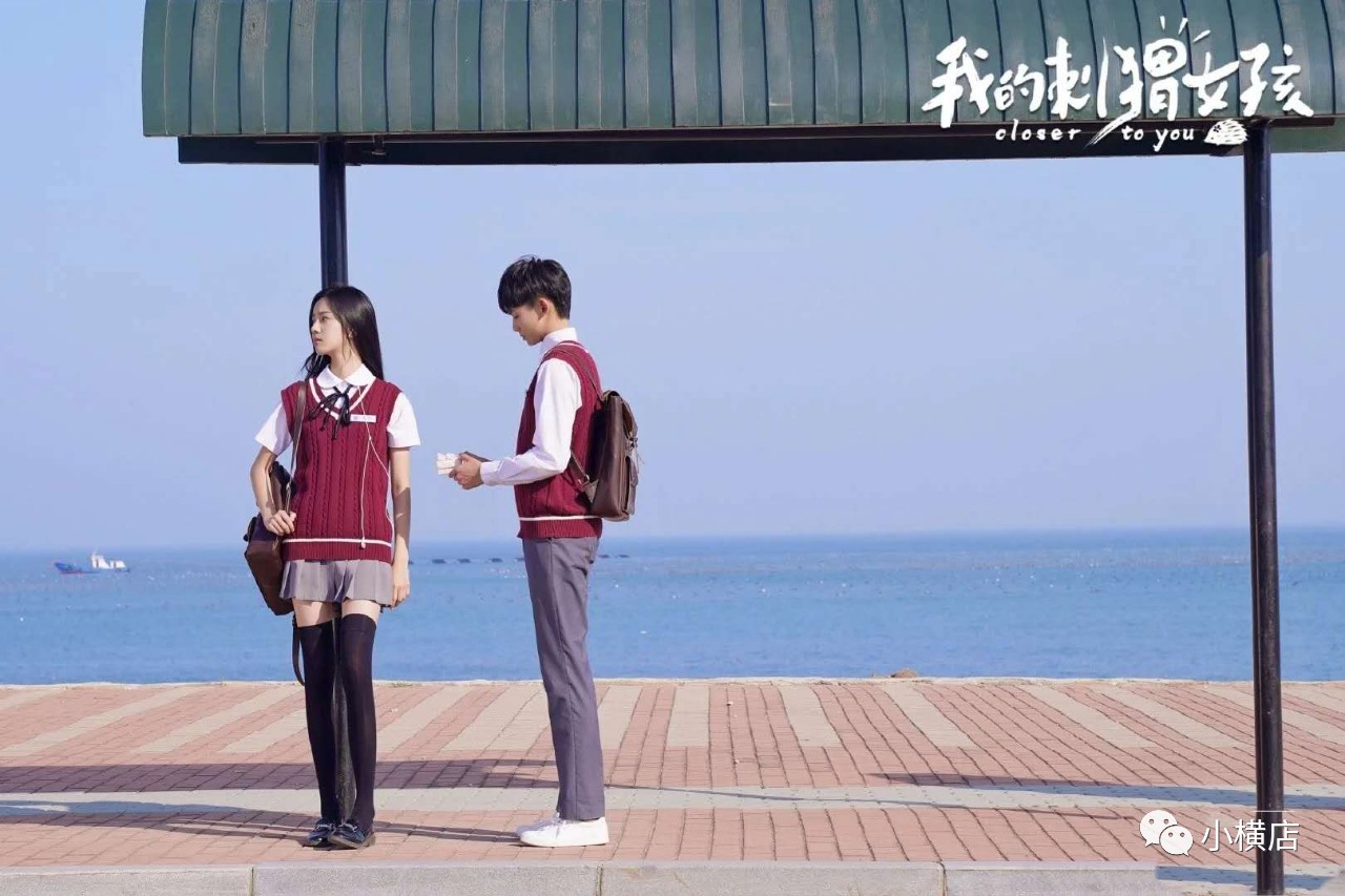 我的刺猬女孩命运注定是无法改变的只是一个人顶替另一个人去承受