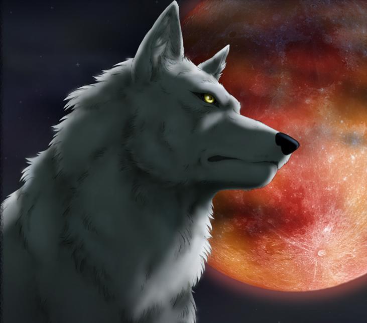 求动漫中的狼 要图片