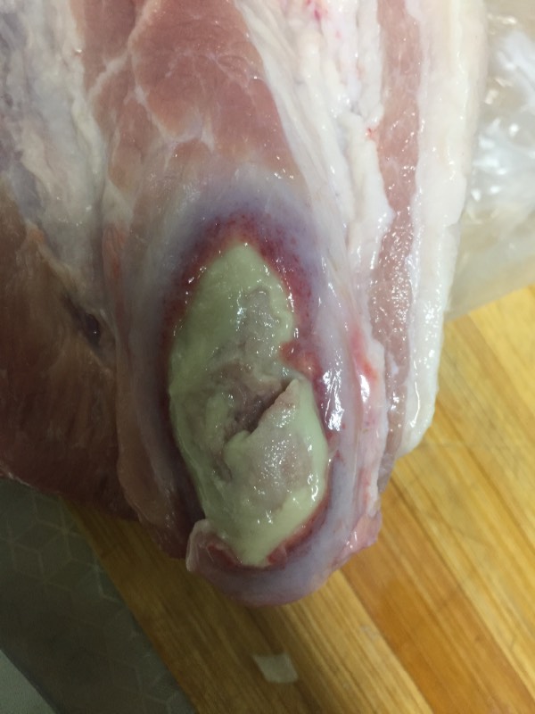 请问图片中的猪肉是什么病?