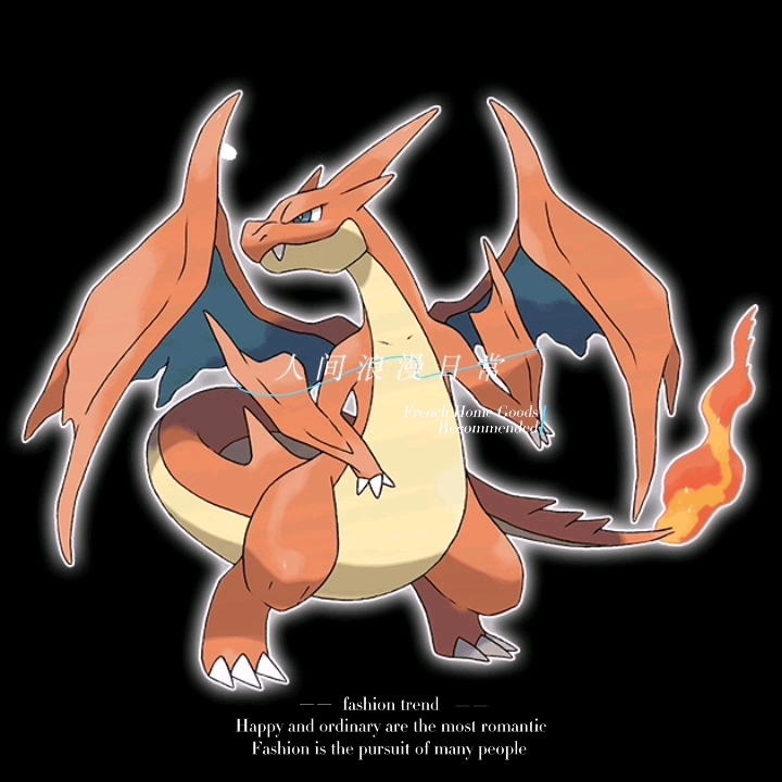 宝可梦 图鉴 第48名 超级喷火龙y(小火龙)