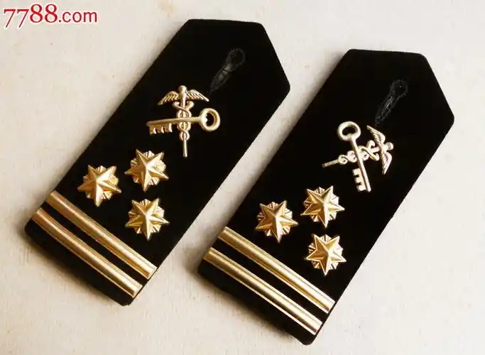 少见的海关一级关务督办肩章