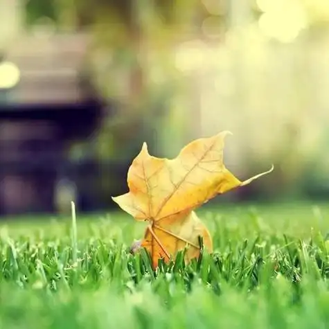 2022奋斗励志图片高清头像