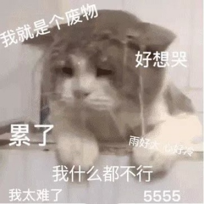 高清可爱带字的卑微系列表情包图片头像